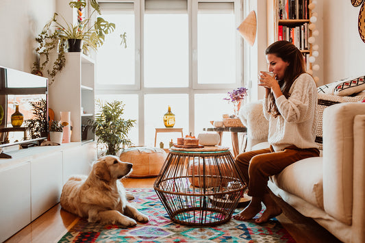 Designing a Pet-Friendly Home: Key Considerations