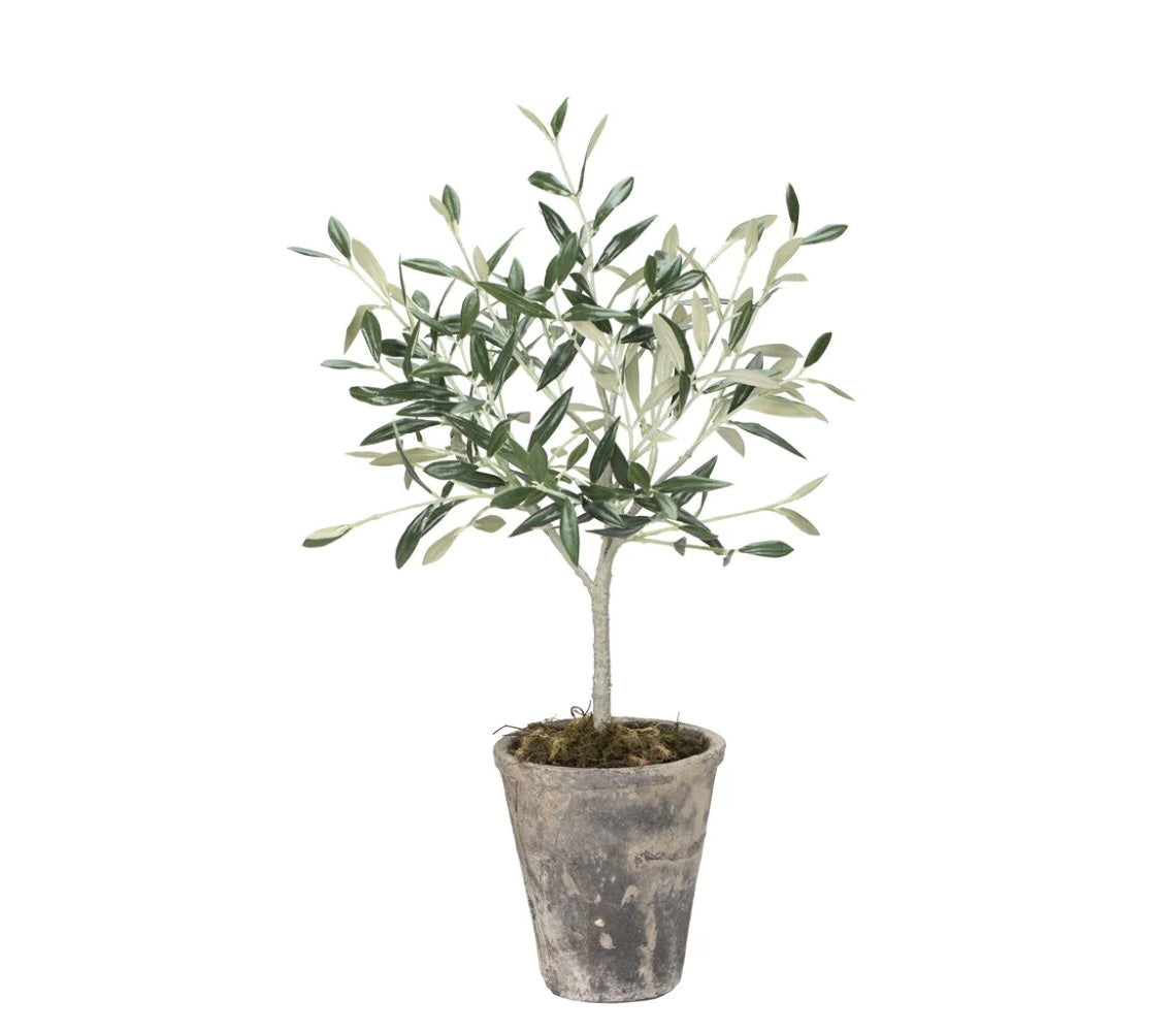 Flora Olive Tree, H44 cm. - DECOR PETIT