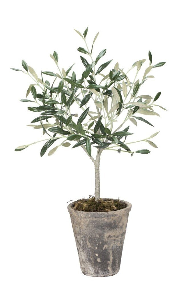 Flora Olive Tree, H44 cm. - DECOR PETIT