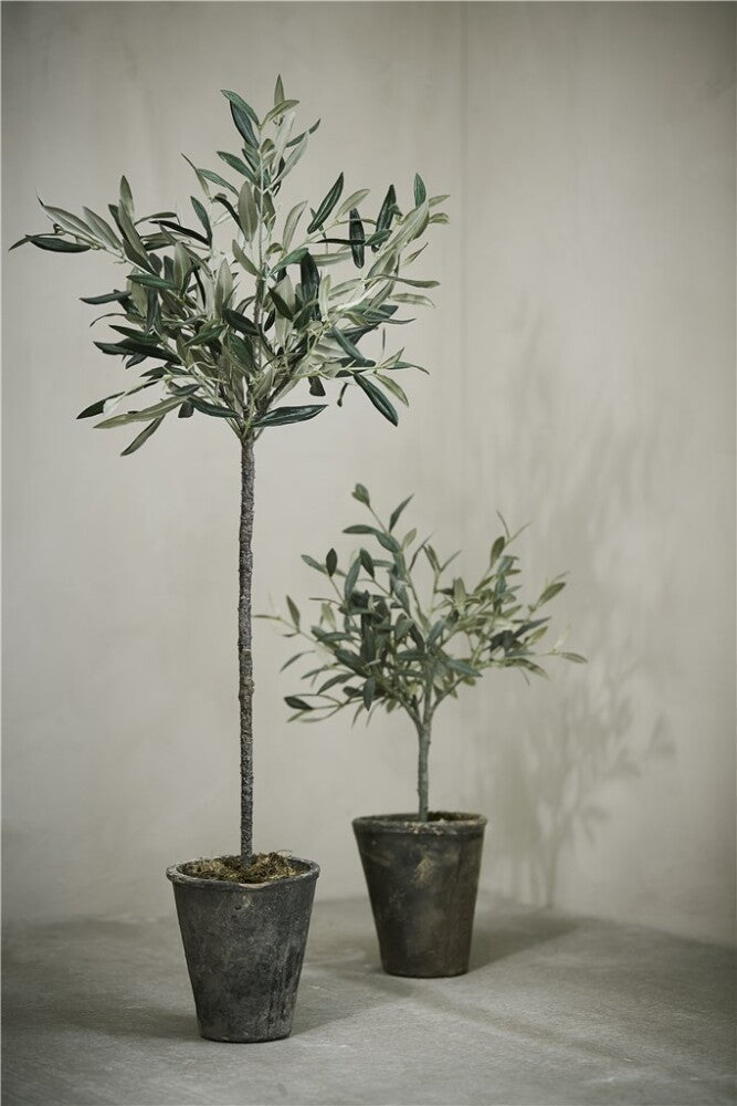 Flora Olive Tree, H44 cm. - DECOR PETIT