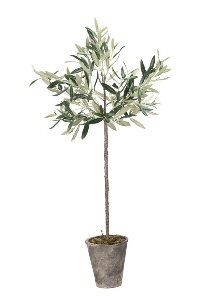 Flora Olivo, 73 cm. - DECOR PETIT