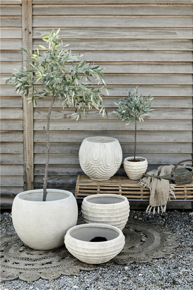 Flora Olive Tree, H73 cm. - DECOR PETIT